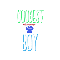 houndlounge good boy good dog dog daycare goodest boy Sticker
