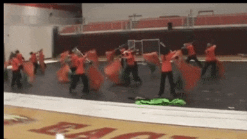 Prisoner Colorguard GIF by Spintronix Color Guard