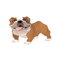 Yuma Pioxii Sticker by Colegio Pío XII