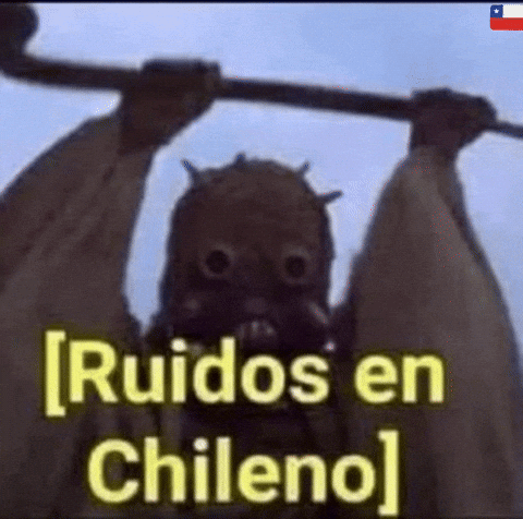 Chechito_chileXd chileno ruidos chile meme chechitochile GIF