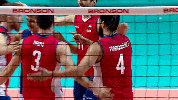 Celebrate Group Hug GIF by Volleyball World