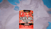 Video Games Esports GIF by G FUEL