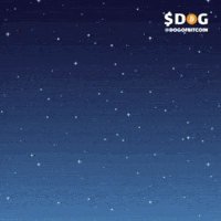 Dogofbitcoin dog runestone dog bitcoin dogofbitcoin GIF