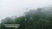 Australia Jurassic GIF by Skyrail Rainforest Cableway