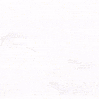 Gojo Dbs GIF