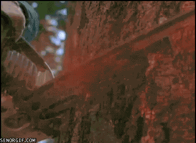 chuck norris trees GIF by Cheezburger