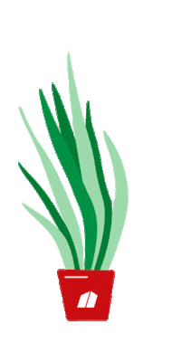 Plant Sticker by toom Baumarkt