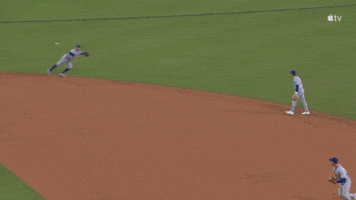 Chicago Cubs Baseball GIF