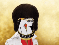 Cat Yes GIF by SuperRareBears
