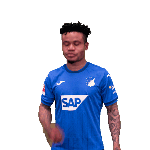 Sport Bundesliga Sticker by TSG Hoffenheim