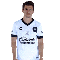 Liga Mx Gallos Sticker by Club Querétaro