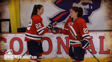 ice hockey fun GIF by Robert Morris University Athletics