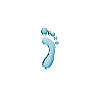 Pharmfoot Sticker by Victoria Vynn