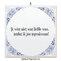 Wijsheid Spreuk Sticker by Tegelspreuken.nl