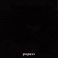 Cat Tea GIF