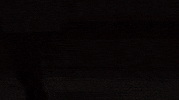 GIF by Ilka & Franz