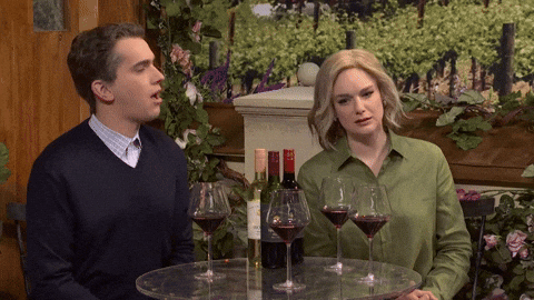 Snl GIF by Saturday Night Live