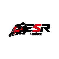 esroadracing racing superbike sbk esr Sticker