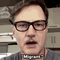 peter capaldi news GIF