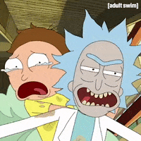 Season 2 Episode 6 GIF by Rick and Morty