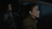Sipahi GIF by Show TV