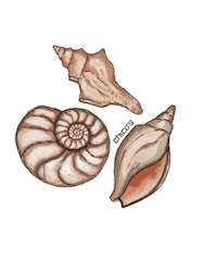 Beach Chico Sticker by The Charles Group