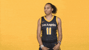 Division Ii Sport GIF by Cal State LA Golden Eagles