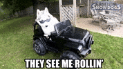 gonetothesnowdogs lets go roll husky lets ride GIF