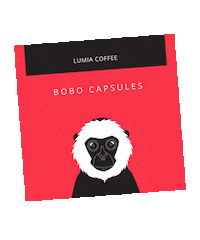 lumiacoffee coffee bobo kuwait haya Sticker