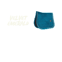 Horses Cheval Sticker by Kentucky Horsewear