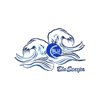 Bluscarpamiamiopen Sticker by Blu Scarpa