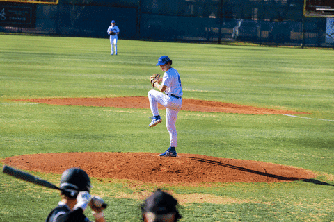 Baseball GIF by TCABB