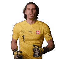 Yann Sommer Yes Sticker by Swiss Football Association