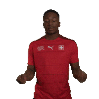 Swipe Link Sticker by Swiss Football Association