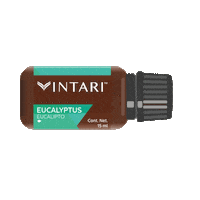 VintariOficial orange natural meditation balance Sticker
