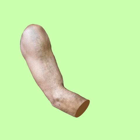 akaidaia giphyupload GIF