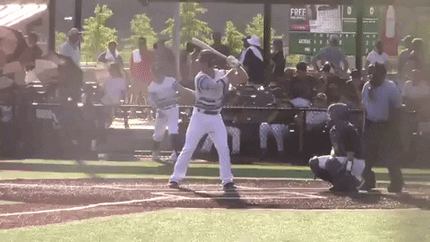 jaketweedie giphygifmaker GIF