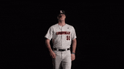 University Of Louisville Baseball GIF by Louisville Cardinals