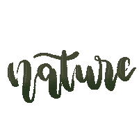 Go Green Love Nature Sticker