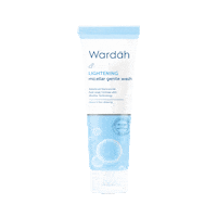 Blue Light Skincare Sticker by Wardah Beauty
