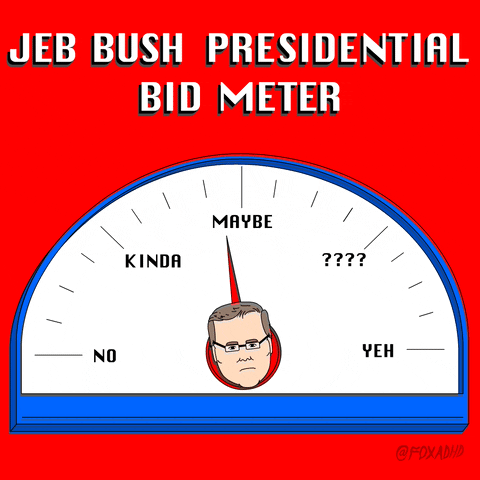 jeb bush artists on tumblr GIF by Animation Domination High-Def