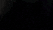 Tv Show Fox GIF by ScreamQueens