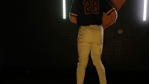 Baseball Juco GIF by Pearl River Athletics