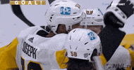 Regular Season Sport GIF by NHL