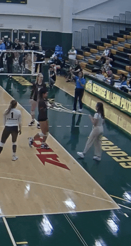 Ick GIF by Brown Volleyball
