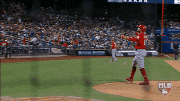 Regular Season Sport GIF by MLB