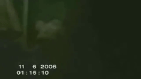 the rake GIF