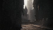 Elder Scrolls Trailer GIF by Bethesda