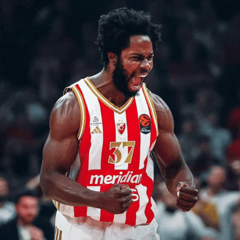 Crvena Zvezda Kkcz GIF