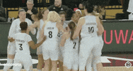 British Basketball Win GIF by Hoopsfix